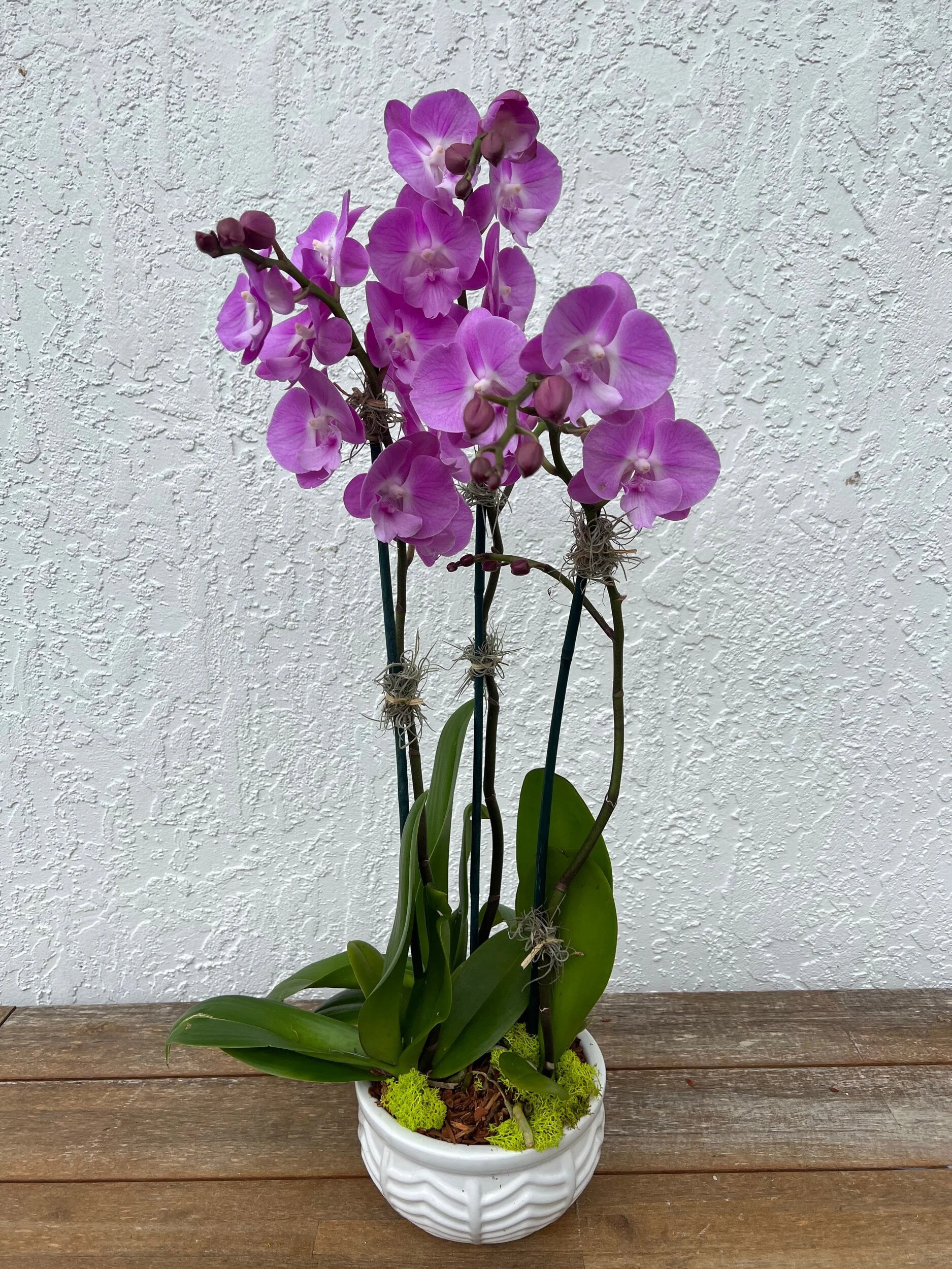 09B16D0C-F749-42CD-AB86-7400ECBE2EF4