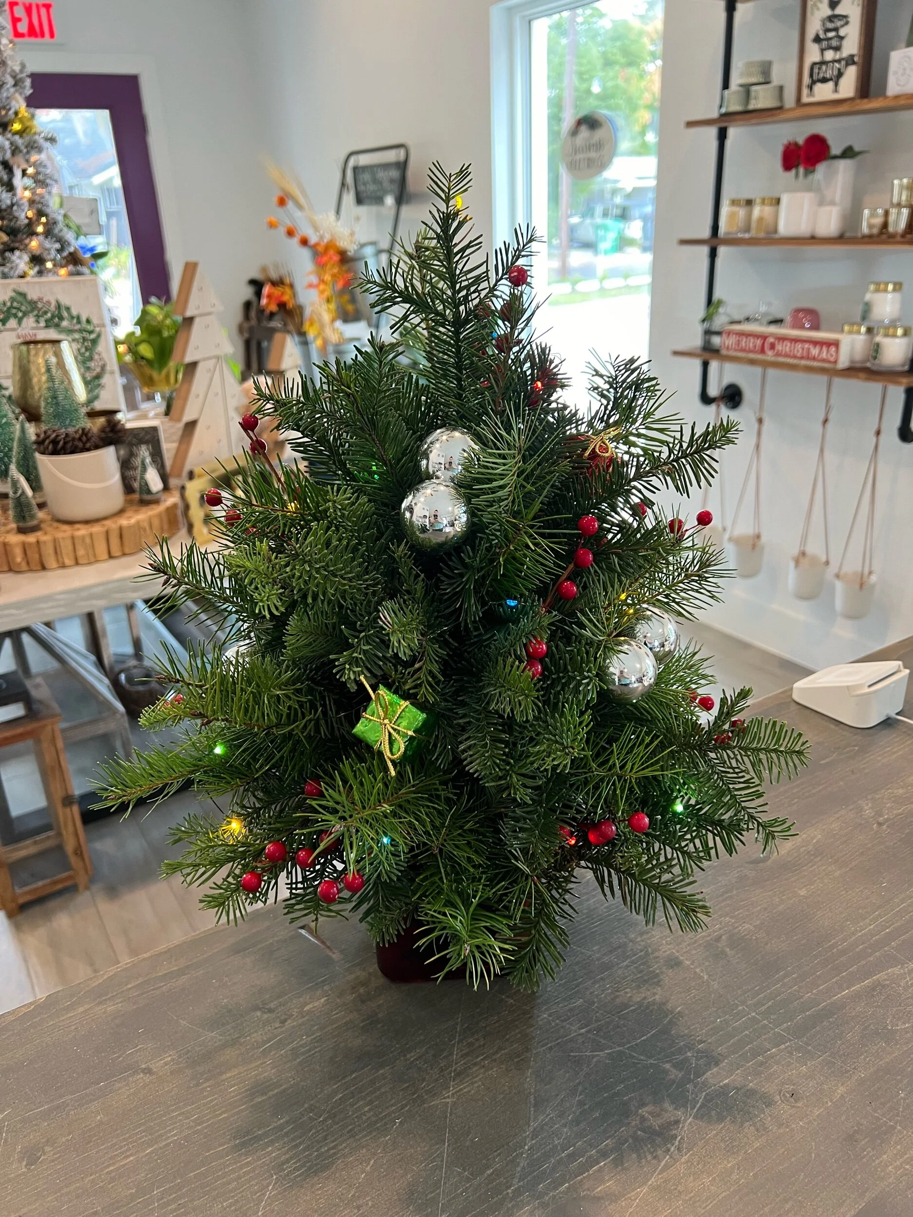 34DA0128-FD41-41E8-9327-2E12FB840410