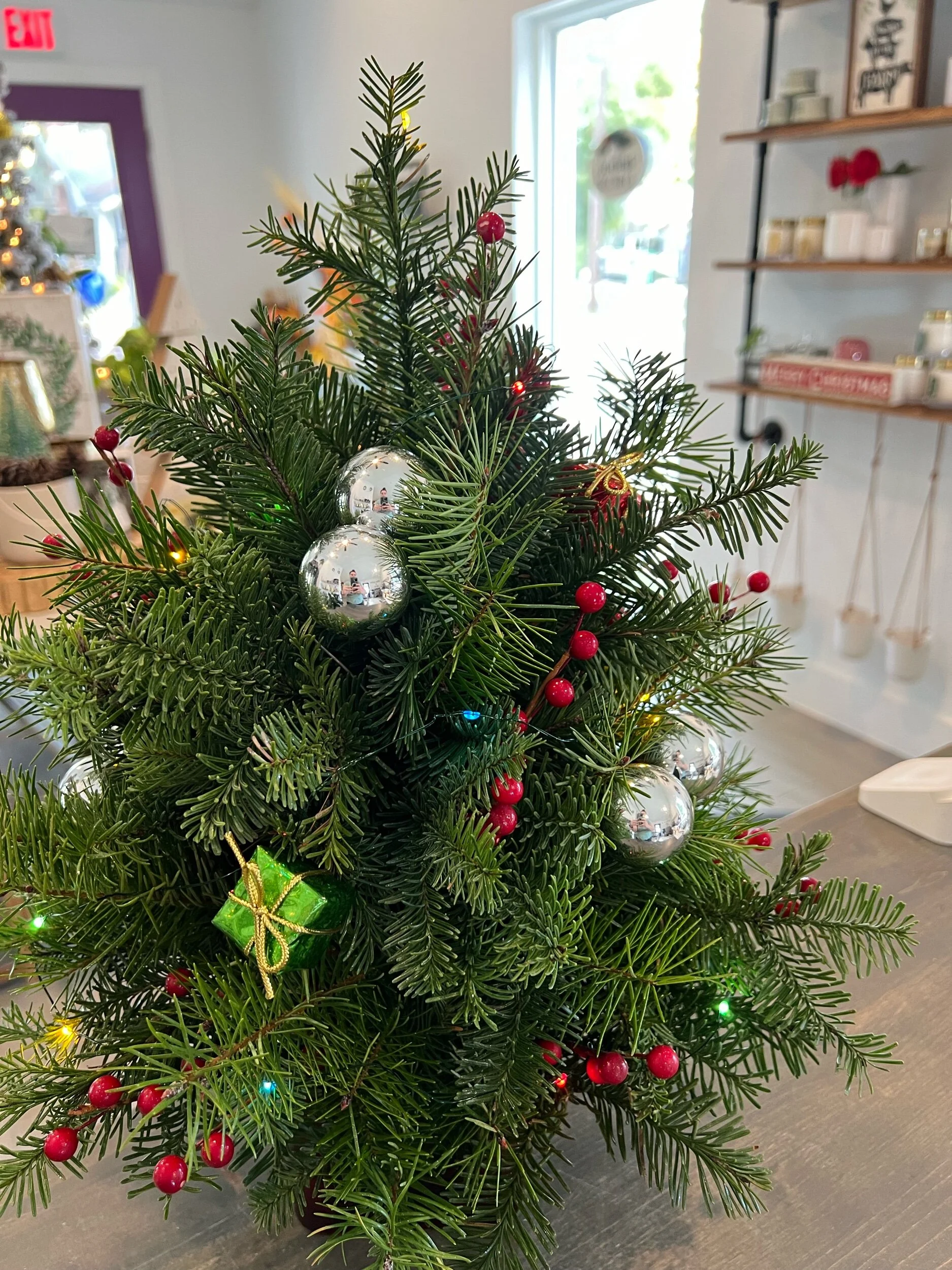 C6C60495-86DA-4370-900A-7D7D89E50882