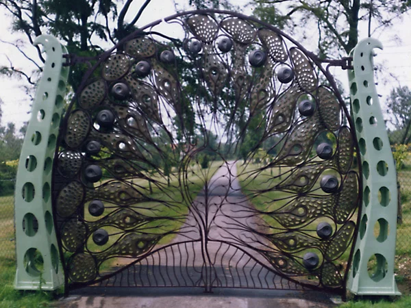 Bmonktonpeacock.jpg