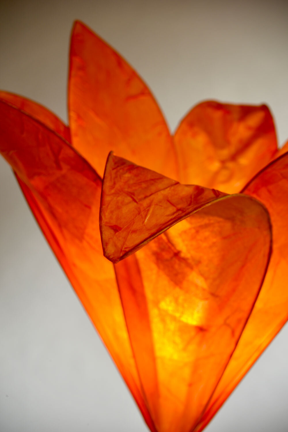 CROCUS TABLE LAMP — Colin Chetwood