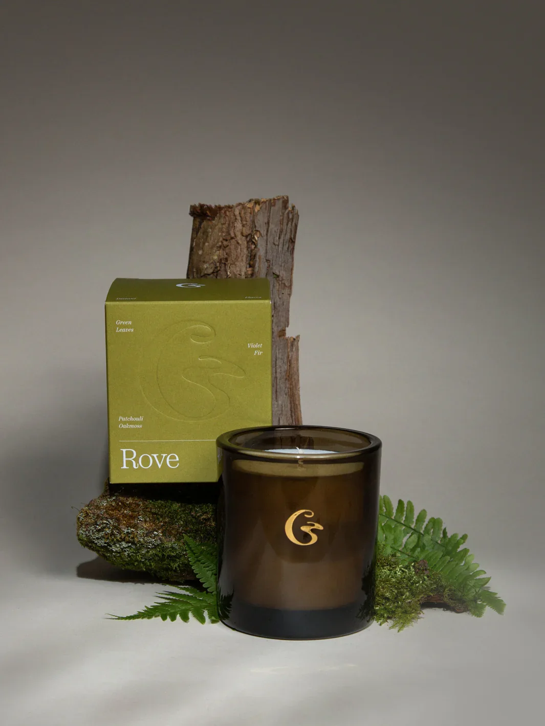 Cedar - Rove Scented Candle - Green Leaves and Earthy Woods