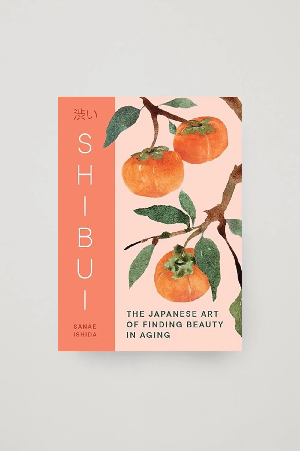 Shibui_book.jpg