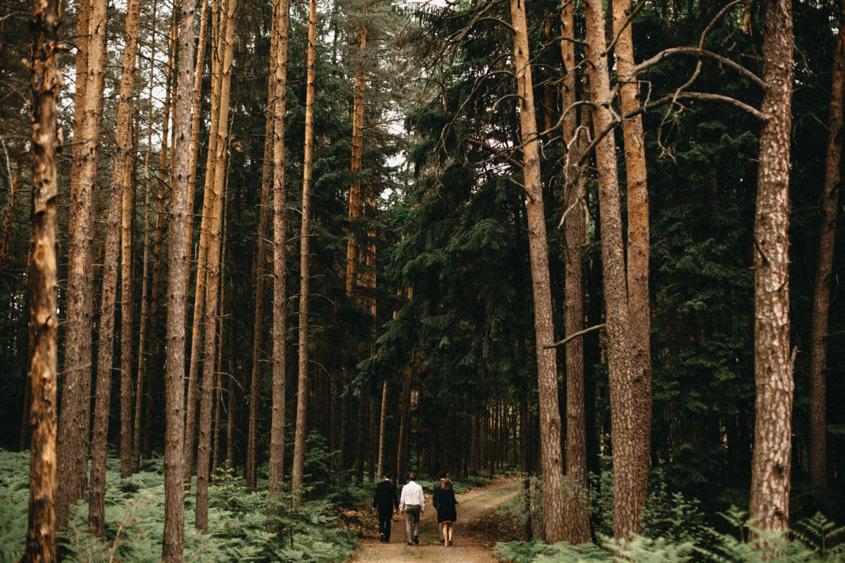 walk through the forest