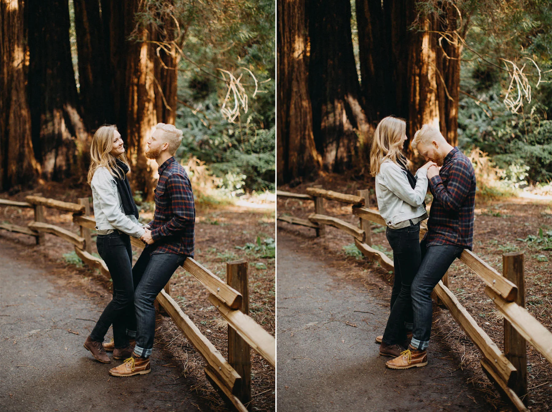 hugs in the forest