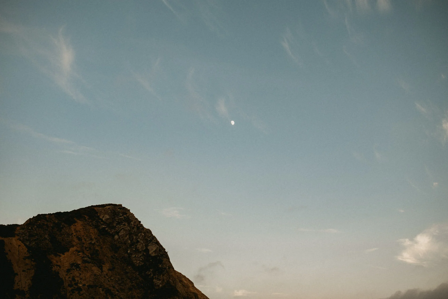 big sur wedding glen oaks-233.jpg