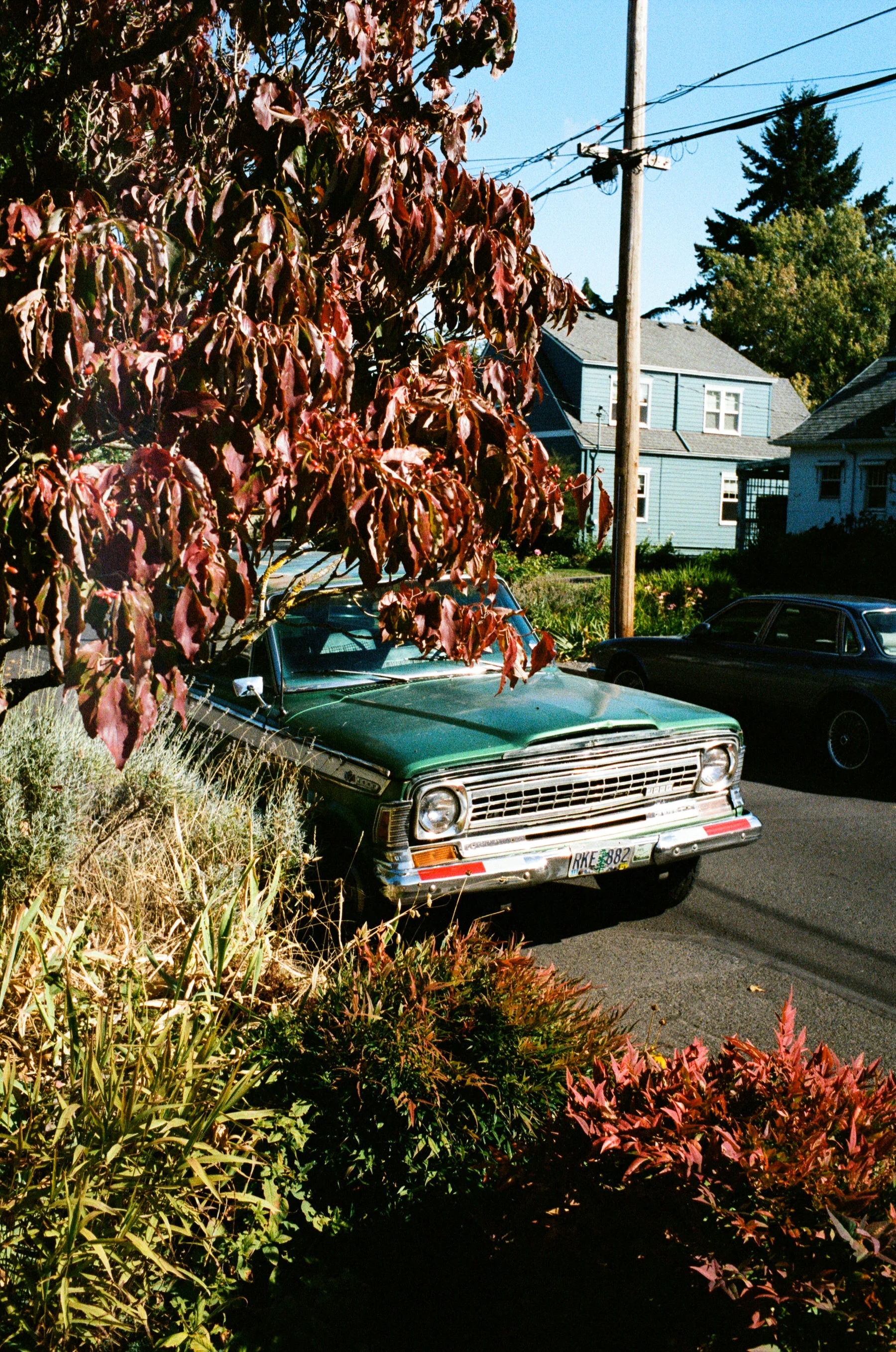 IFL-october-portra-006.jpg