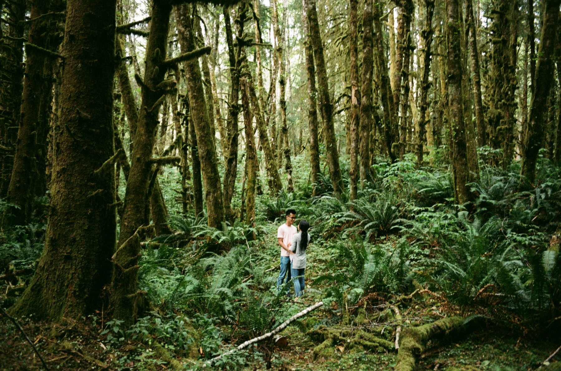 IFL-october-portra-104.jpg