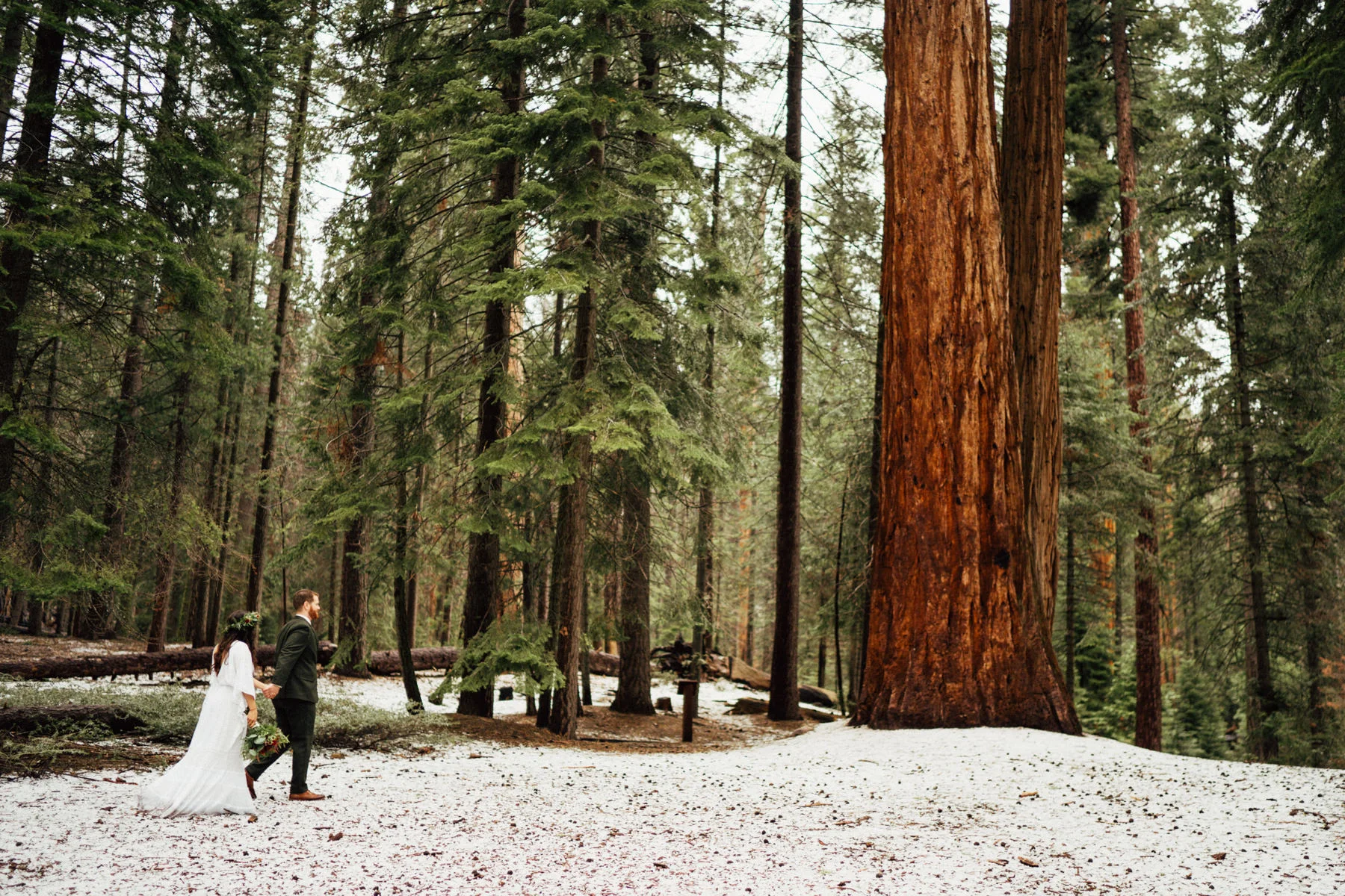 sequoia national park elopement-296.jpg