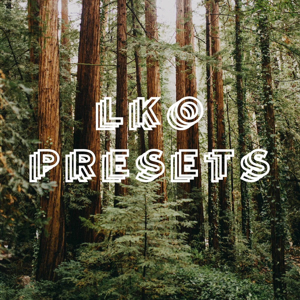 lightroom presets poster.jpg