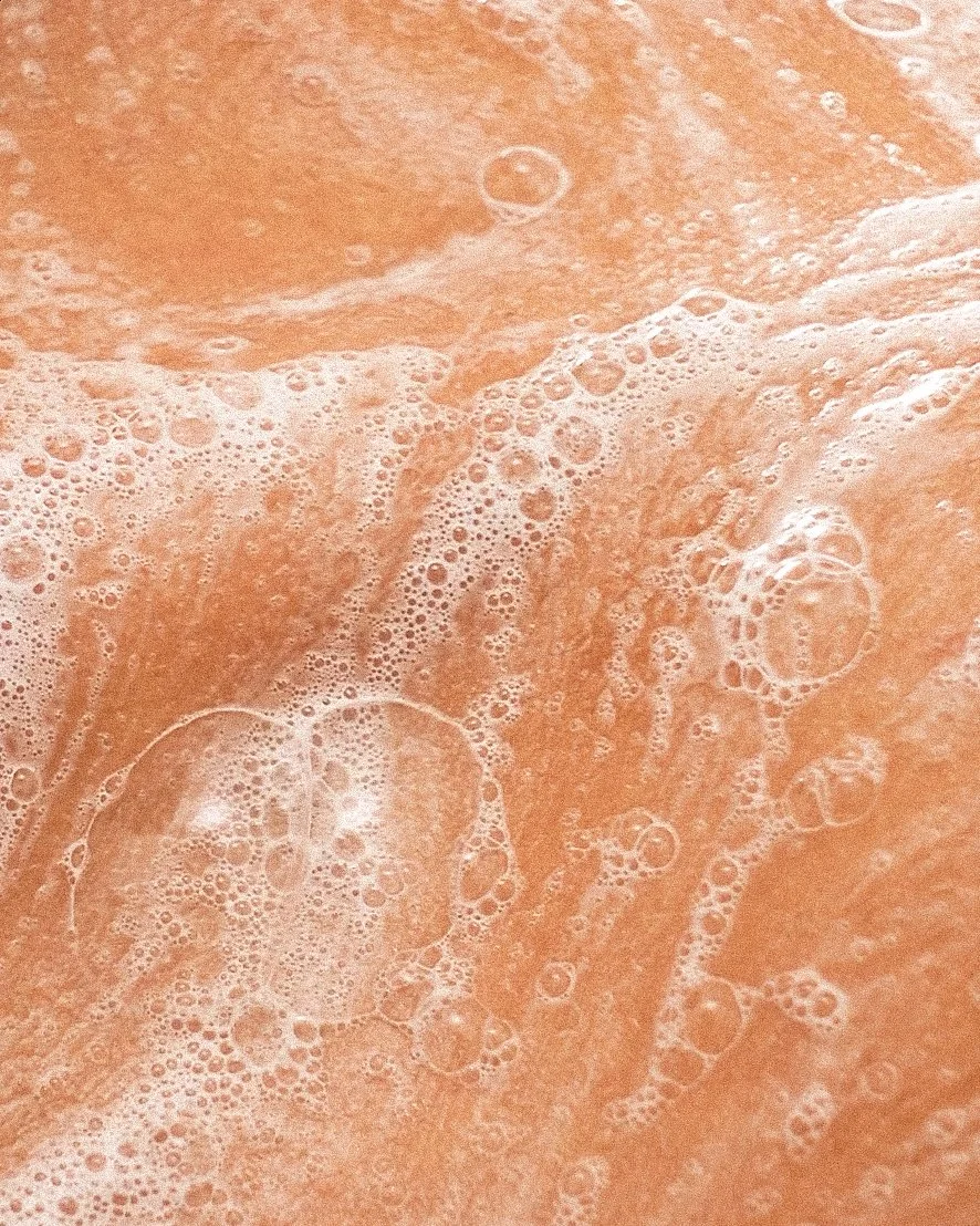 WE-WW-onskin copy.jpg