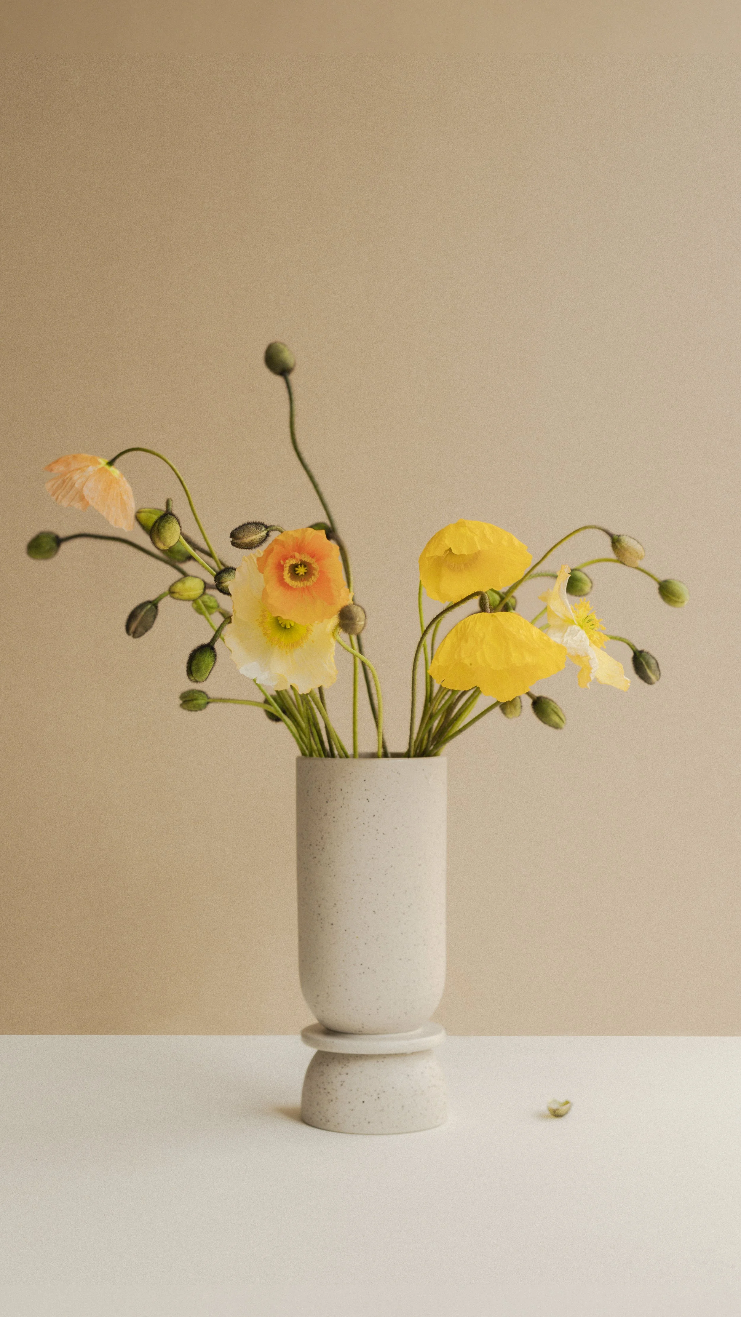 Poppy in vase 2_1080x1920.jpg