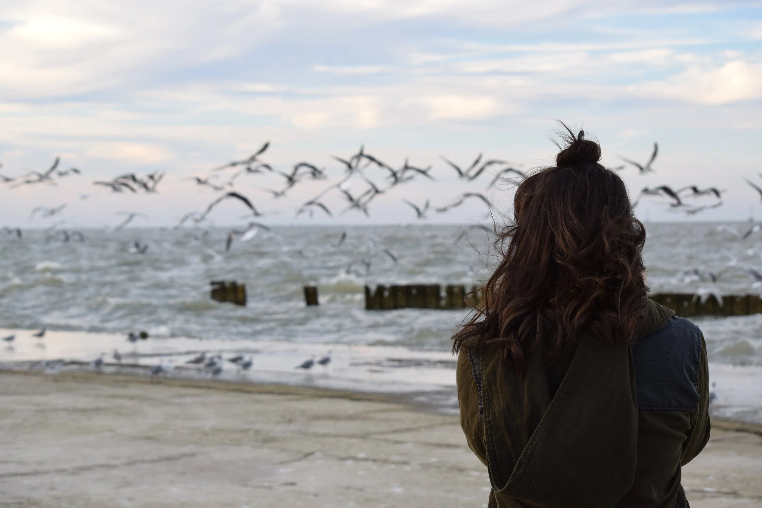 Look for the Lonely Ones