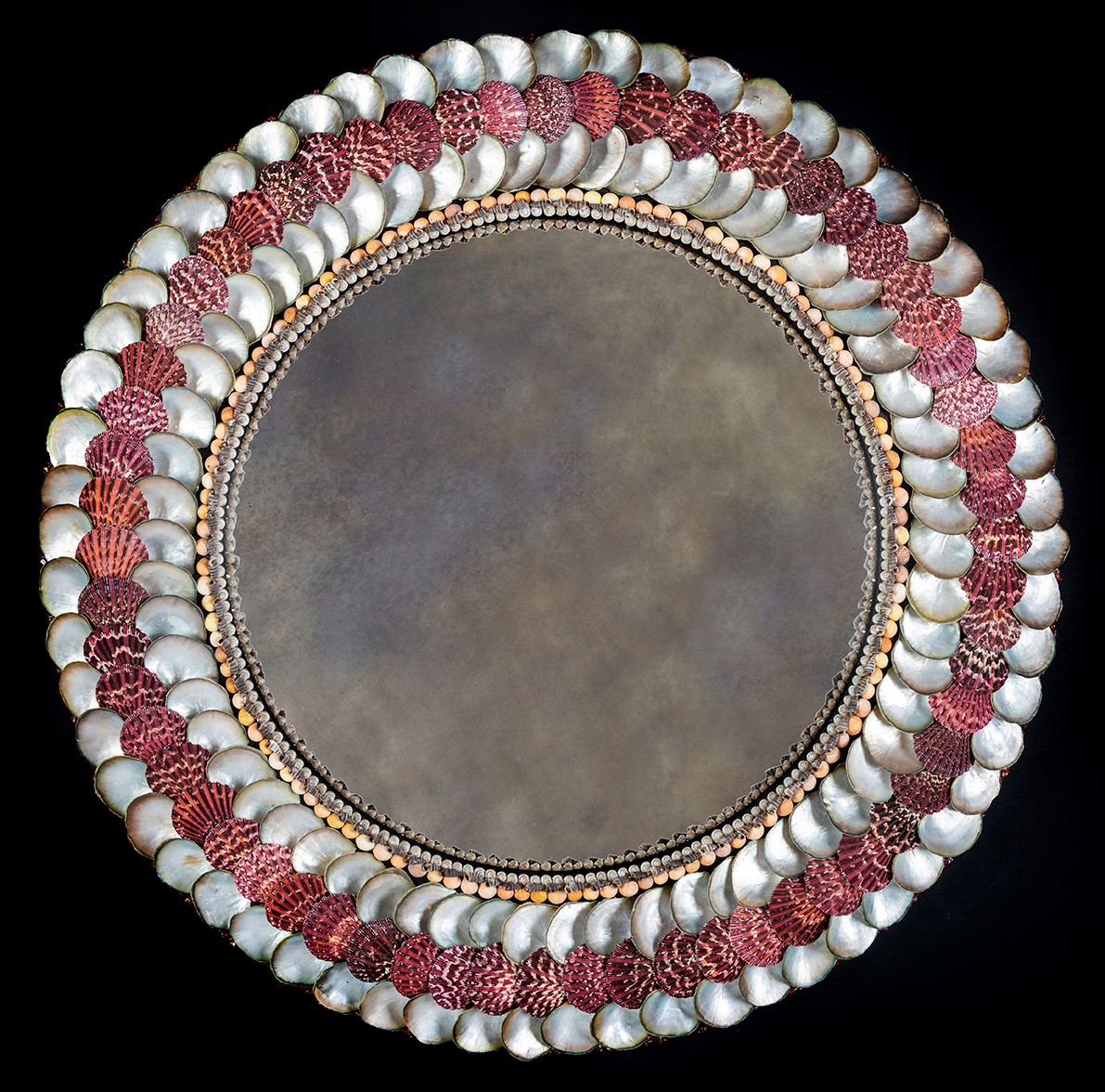 Shell convex 2.jpg