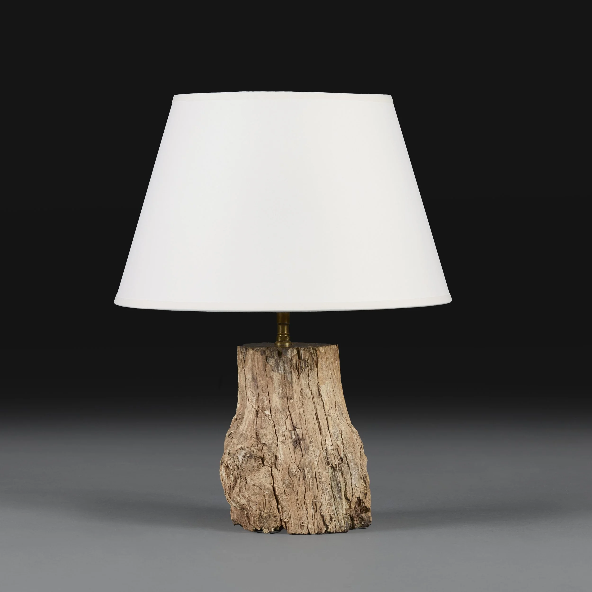 A PETRIFIED WOOD LAMP