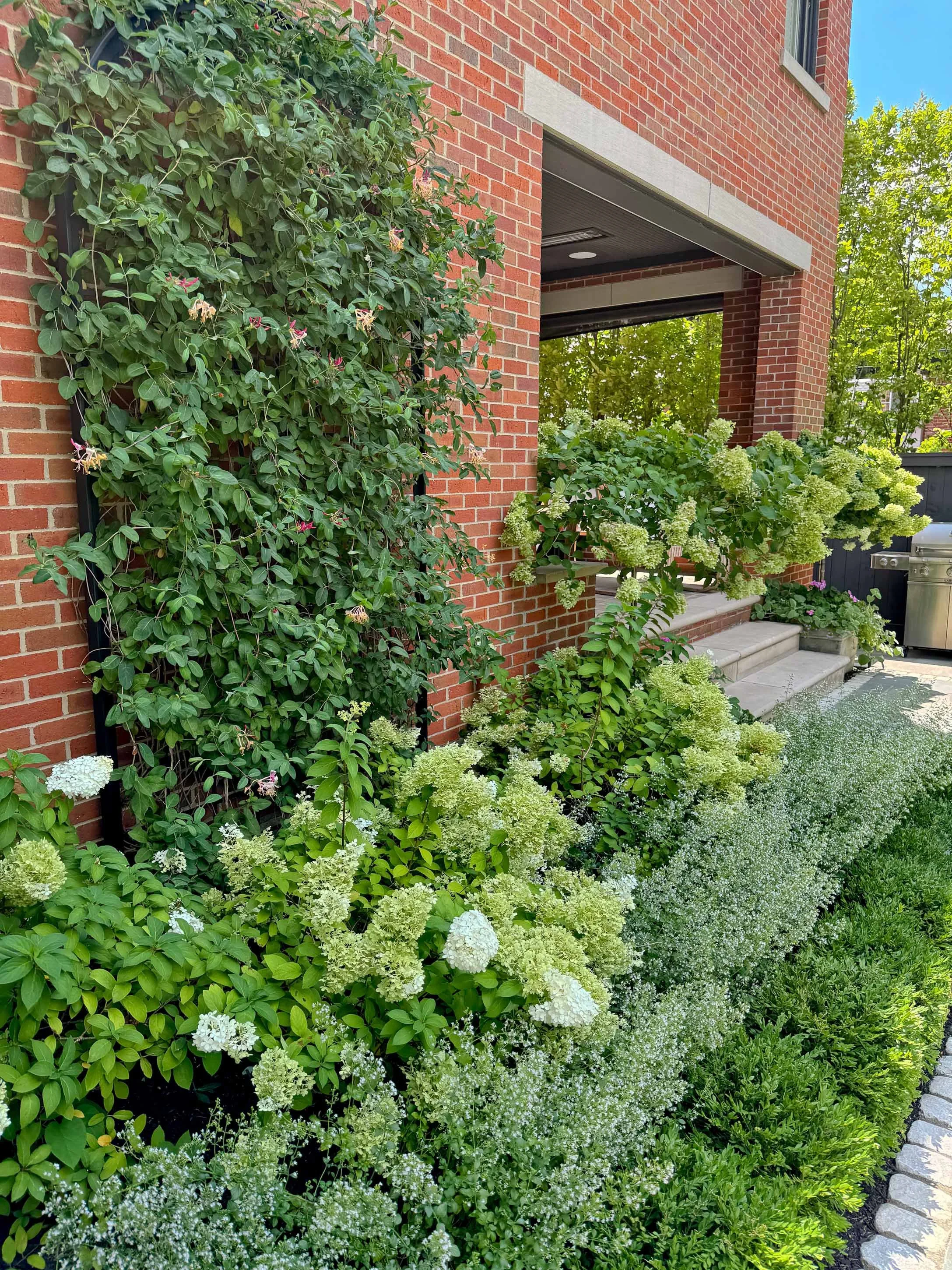 German Village Columbus Ohio Landscape Design Garden-5.jpg