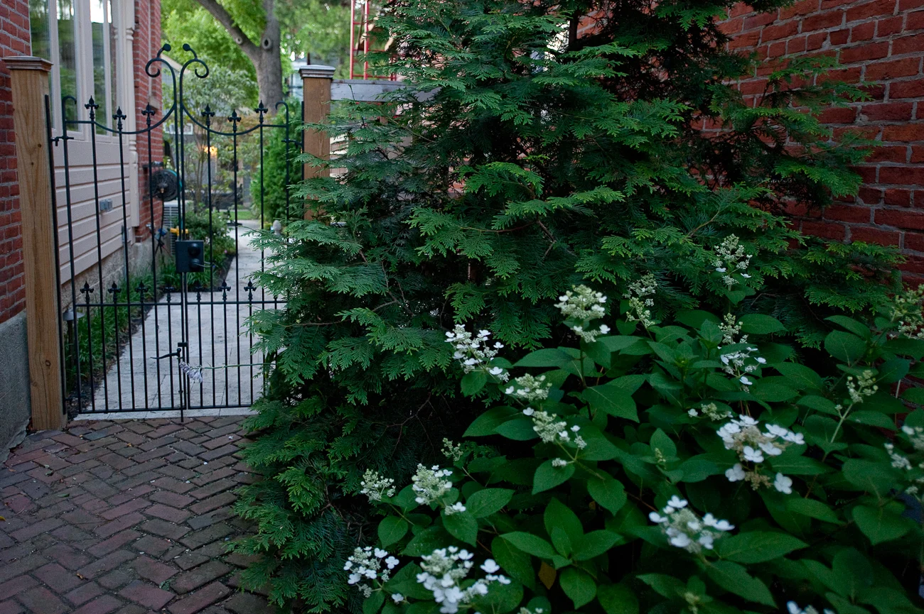 German Village Garden - LANDSCAPE ARCHITECT DESIGN-20.jpg