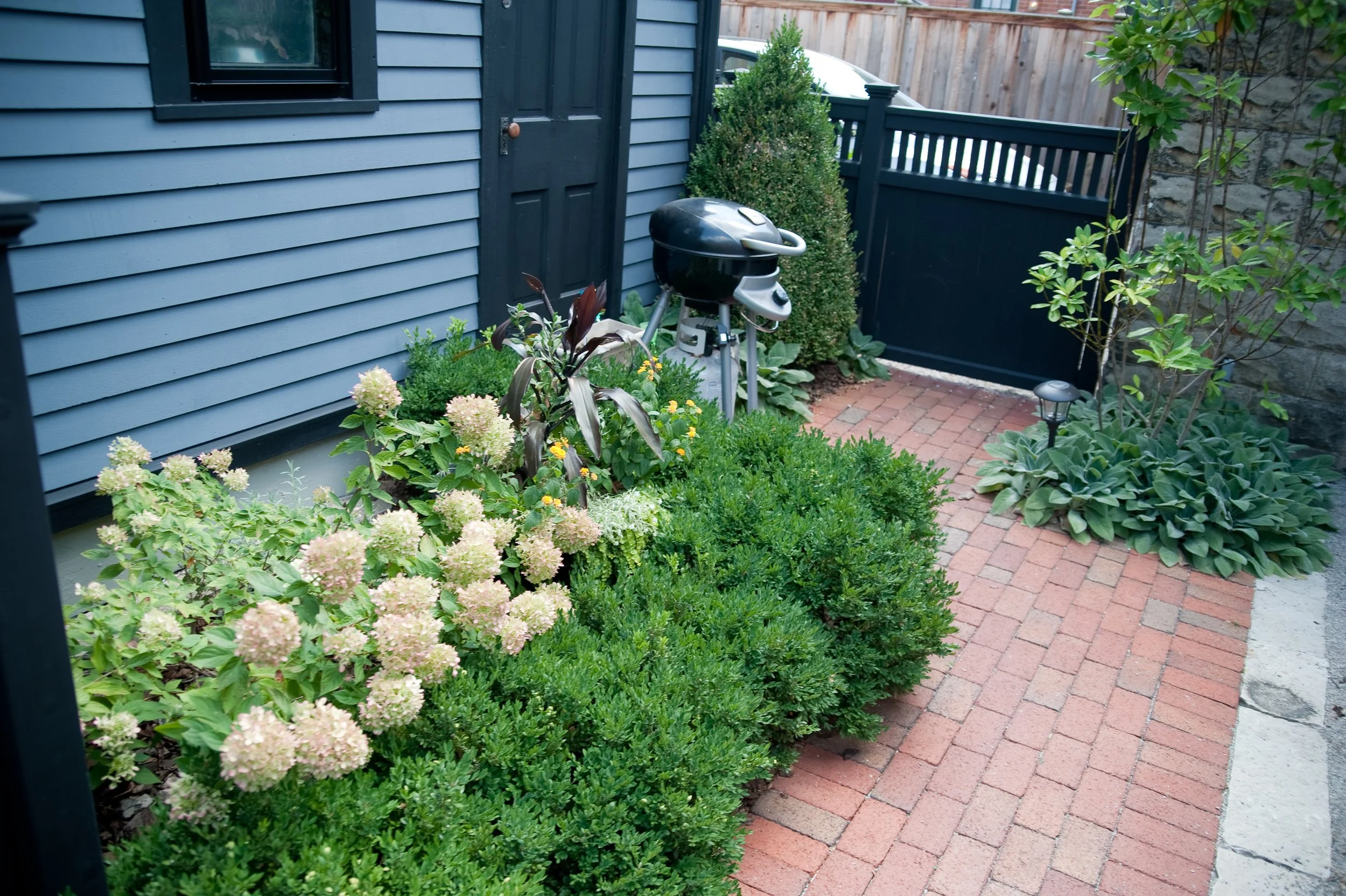 A backyard corner with blue house siding, a black door, a small black grill, various green plants, pink hydrangeas, a brick pathway, a wooden fence, and a solar garden light.
