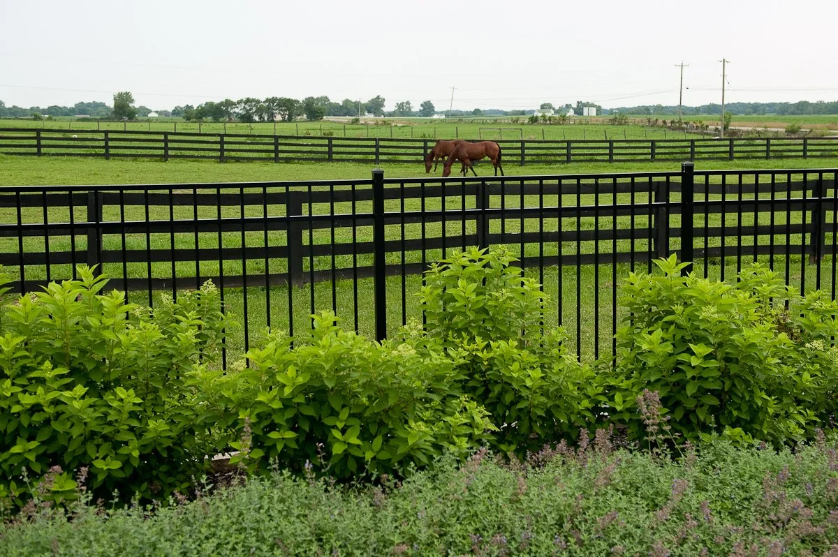 A lush green farm with a black fence, greenery in the foreground, and a brown horse grazing in the background.