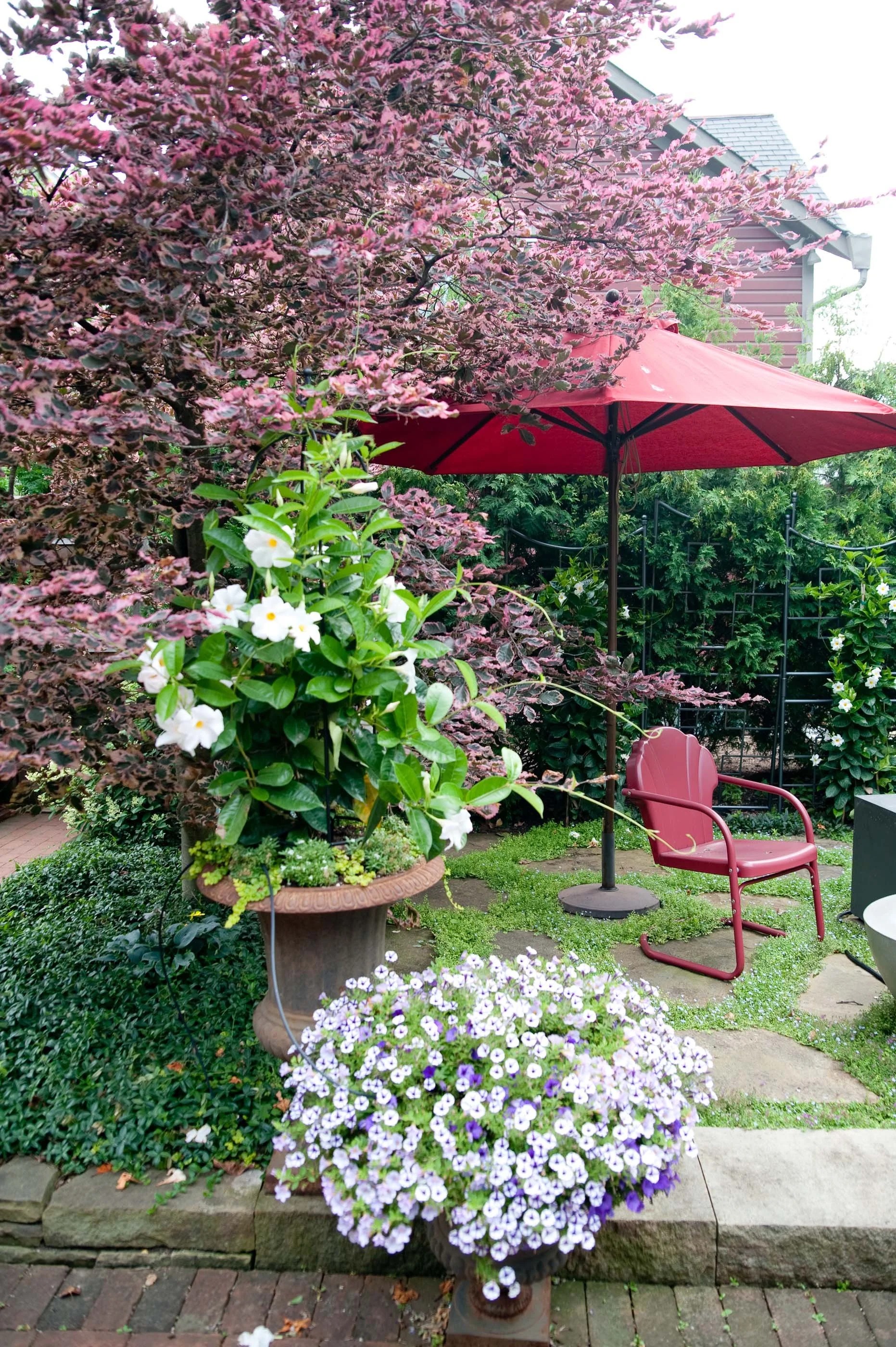 A lush garden scene featuring a blooming pink and purple tree, a red patio umbrella, a pink garden chair, and various potted flowers with green shrubbery and a house in the background.
