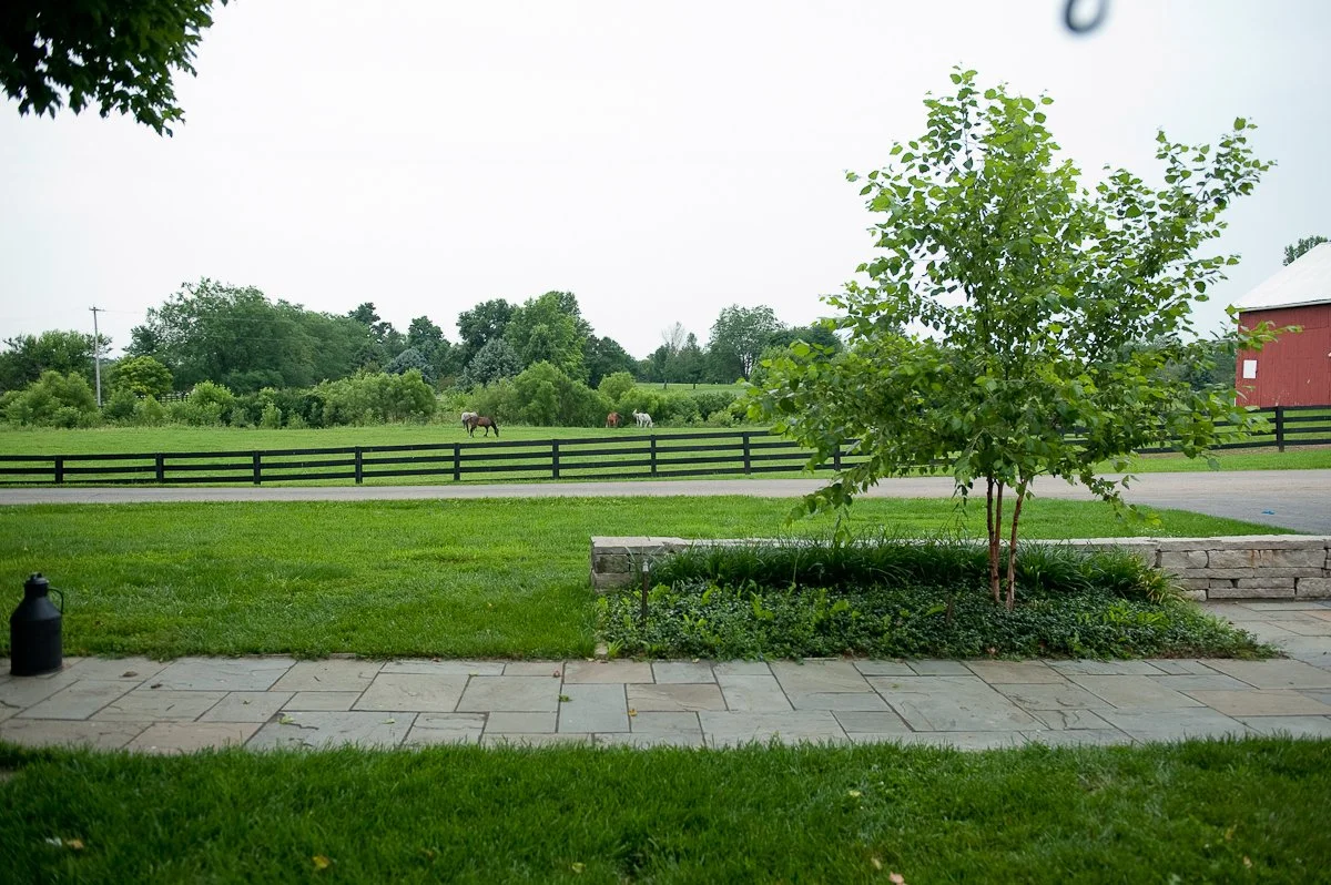 View of a grassy backyard with a small tree, stone patio, and a field with horses in the distance, surrounded by a black wooden fence and green trees under a cloudy sky.