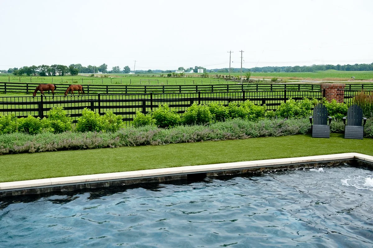 View of a backyard with a swimming pool, two Adirondack chairs, and a garden with green plants. Beyond the garden, there is a black fence and a pasture with horses grazing, with open fields and power lines in the background.