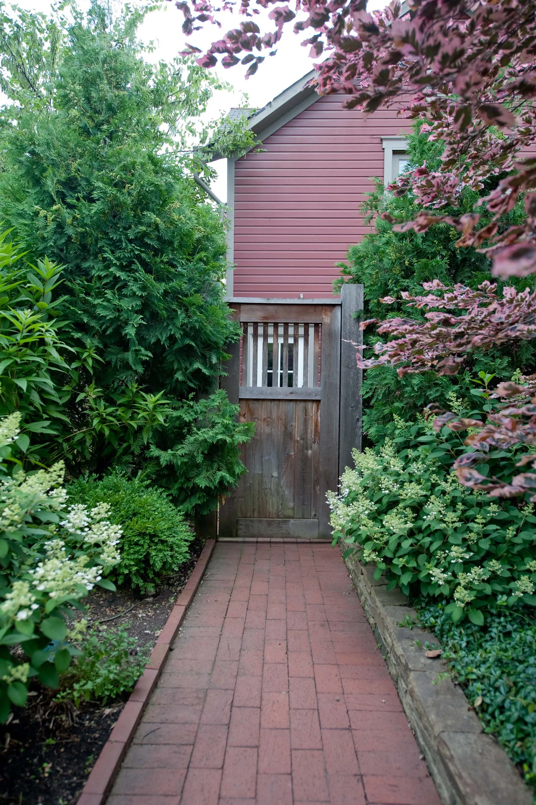 A brick pathway leading to a wooden gate, surrounded by lush green and purple foliage on both sides, with a red house in the background.