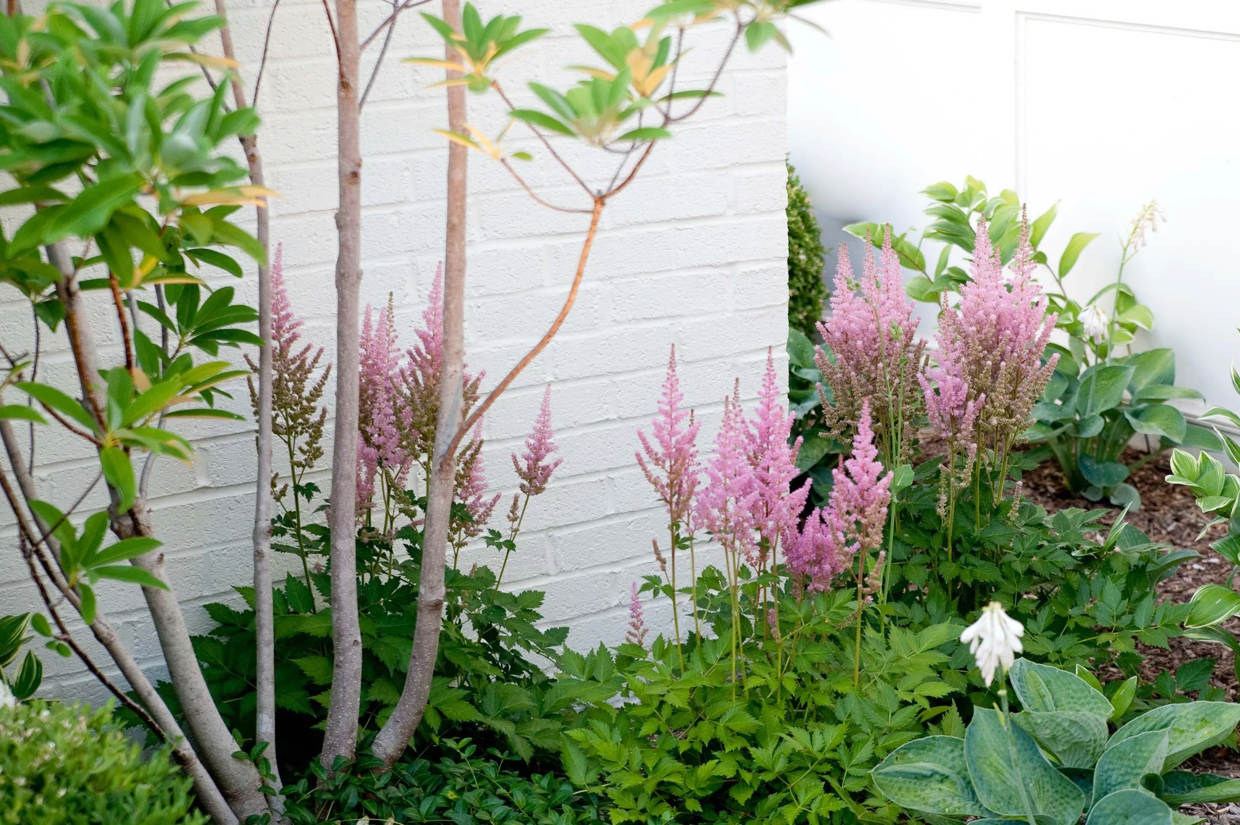 Upper Arlington-Ohio-Landscape-design-pool-landscape-architecture-16.jpg