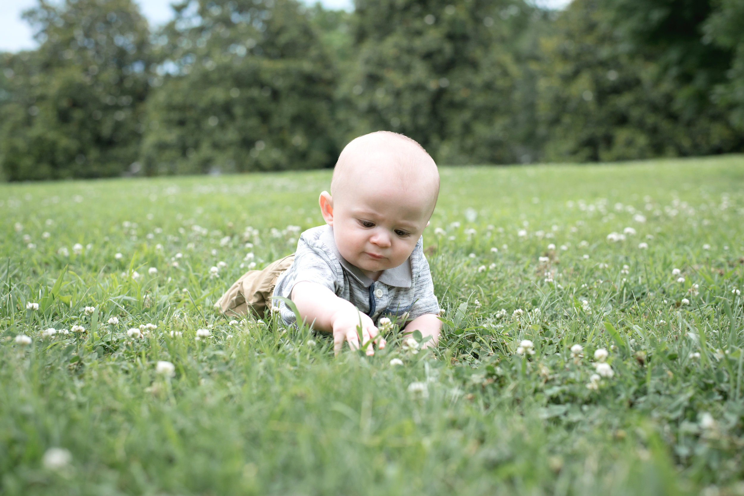 Kai 6 Months (57).jpg