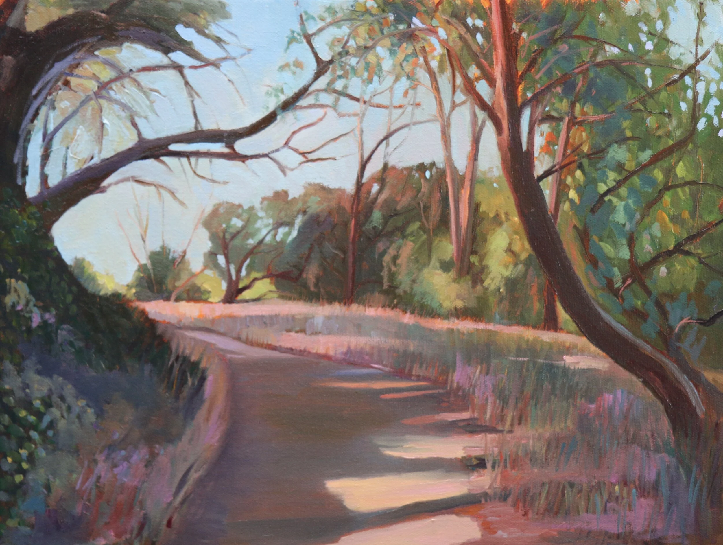Morning walk-Healdsburg  SOLD