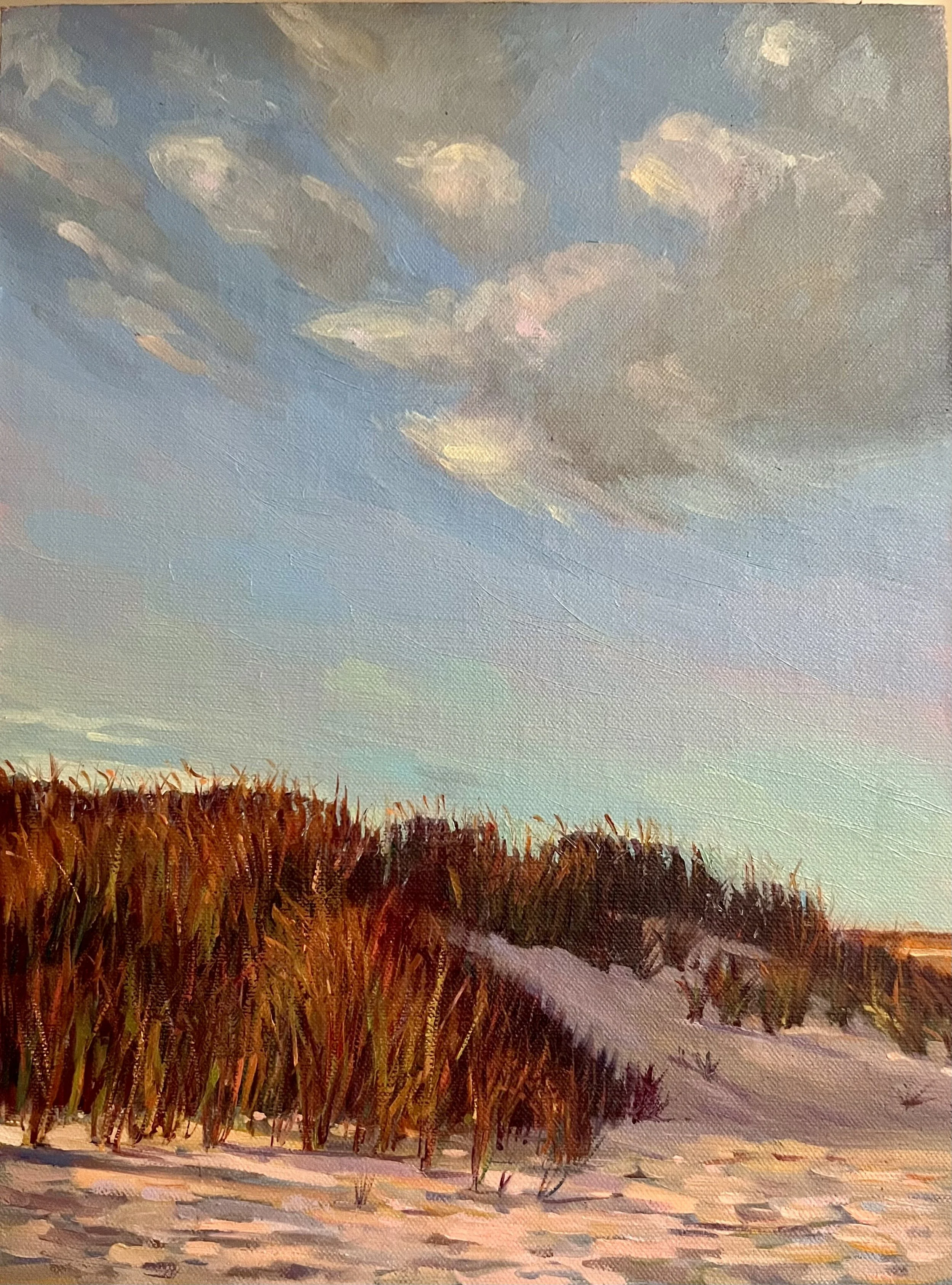 In the Dunes SOLD