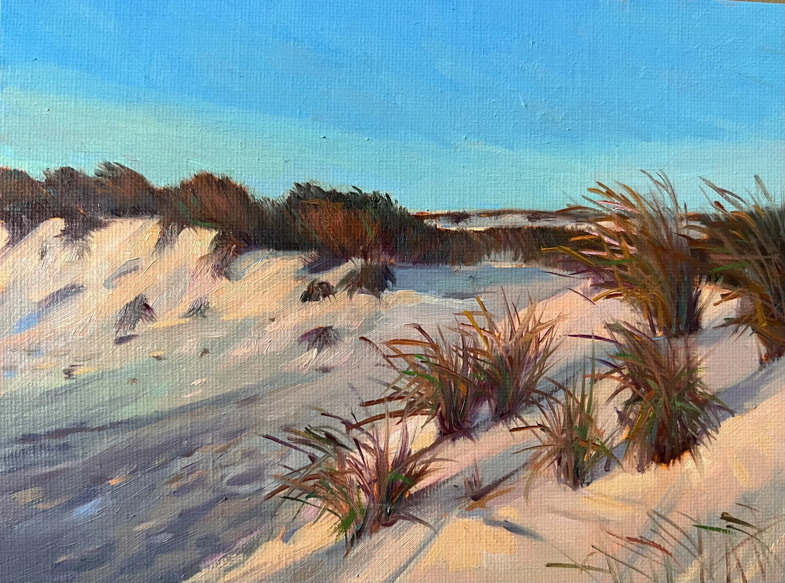 Late Afternoon Cape Henlopen