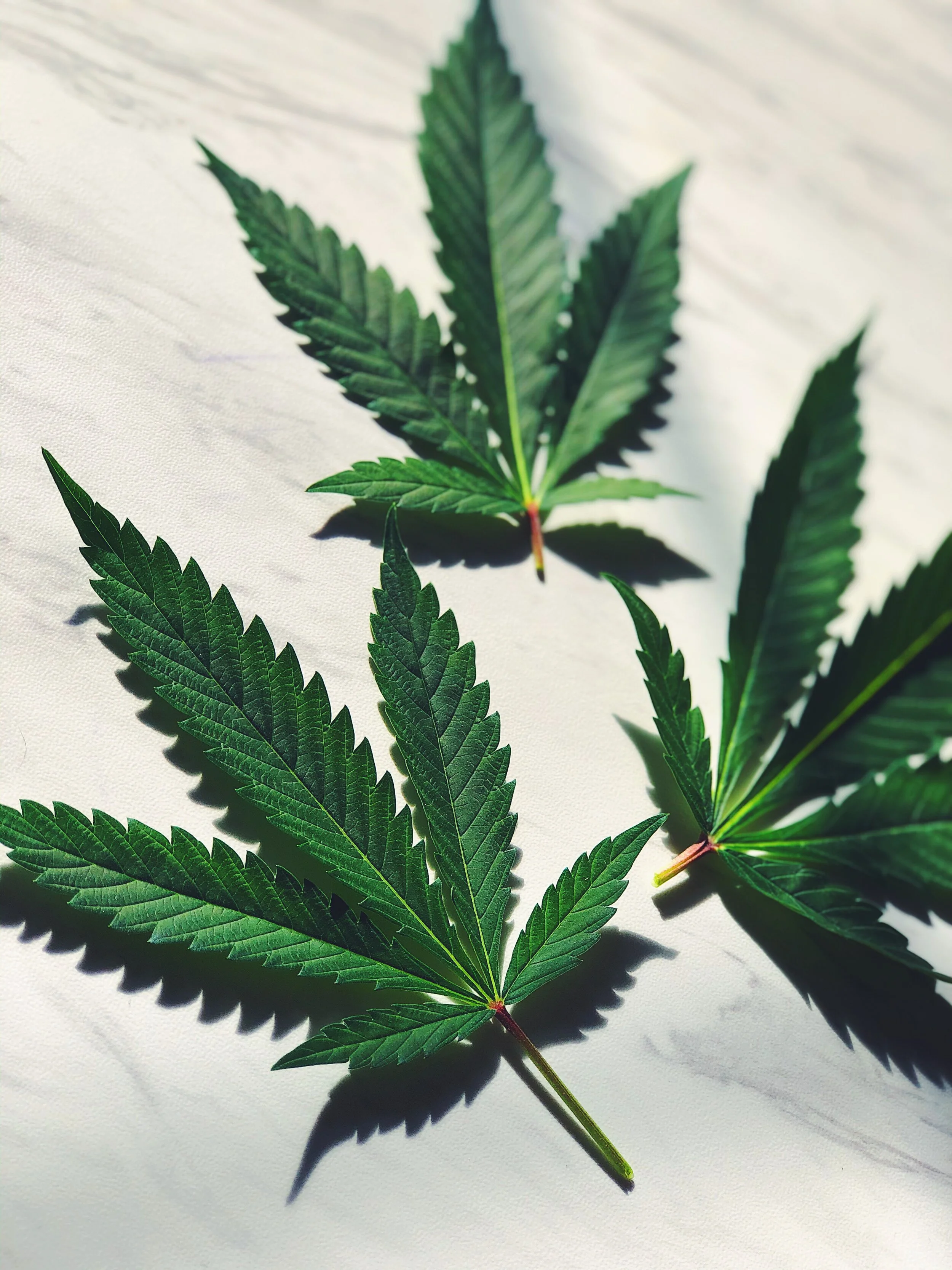 10 Romantic Ideas 420 Style