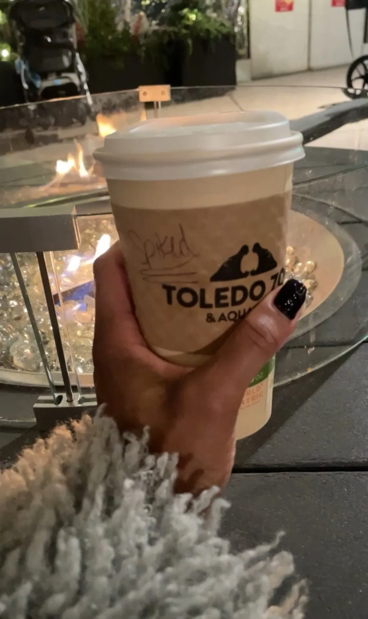 10 November 2024 Holiday Events + Things to Do in Toledo 