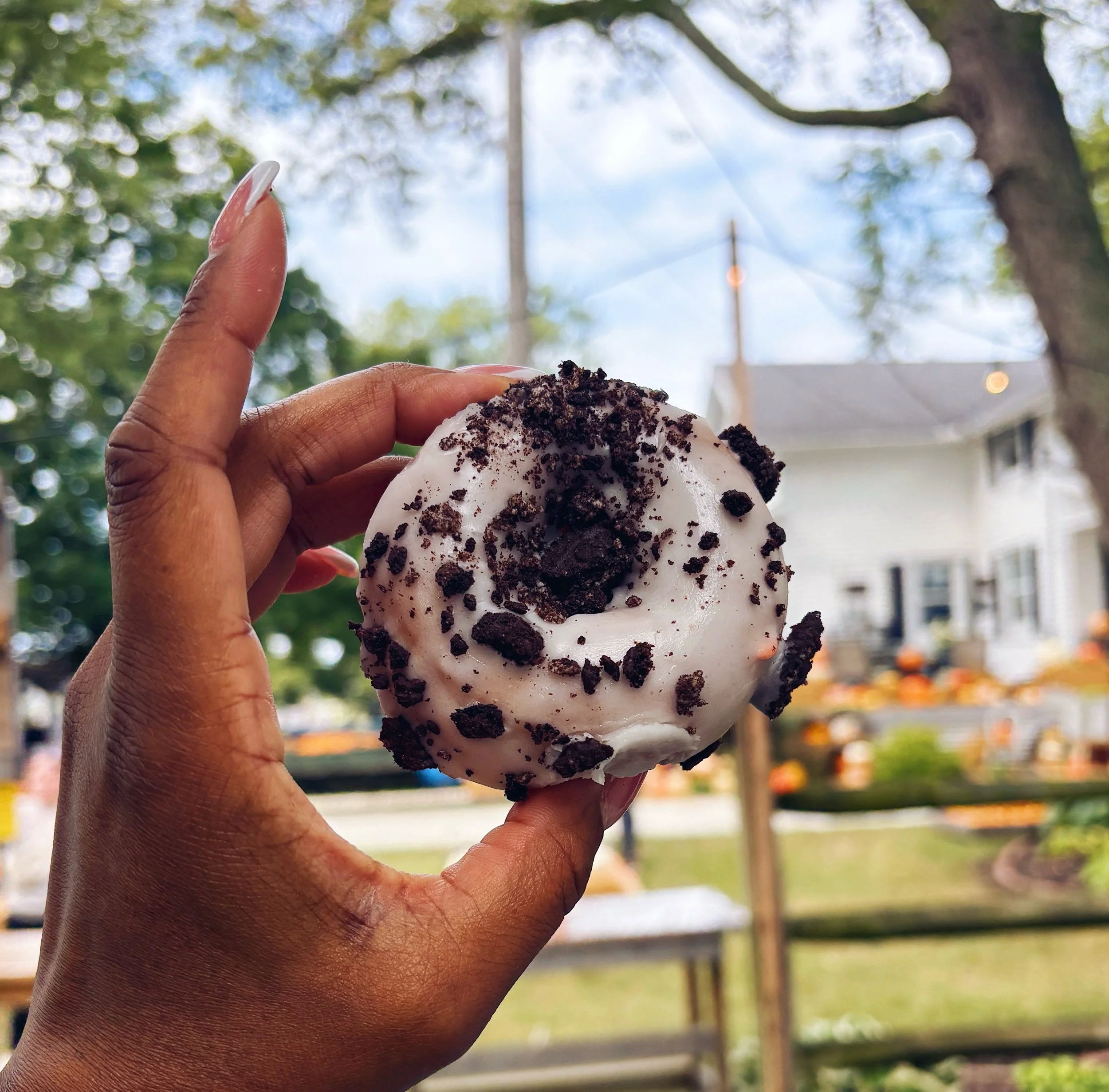 Fleitz Pumpkin Farm - Oregon, OH