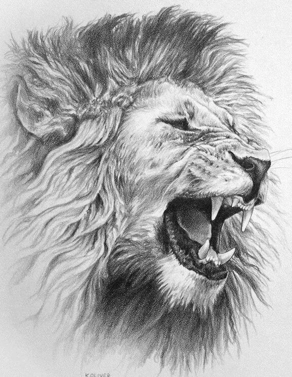 lion.jpg