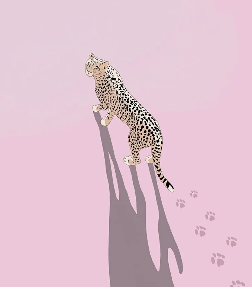 D6FD996E-60C0-4097-85E2-792EBBD8DDE1.jpeg