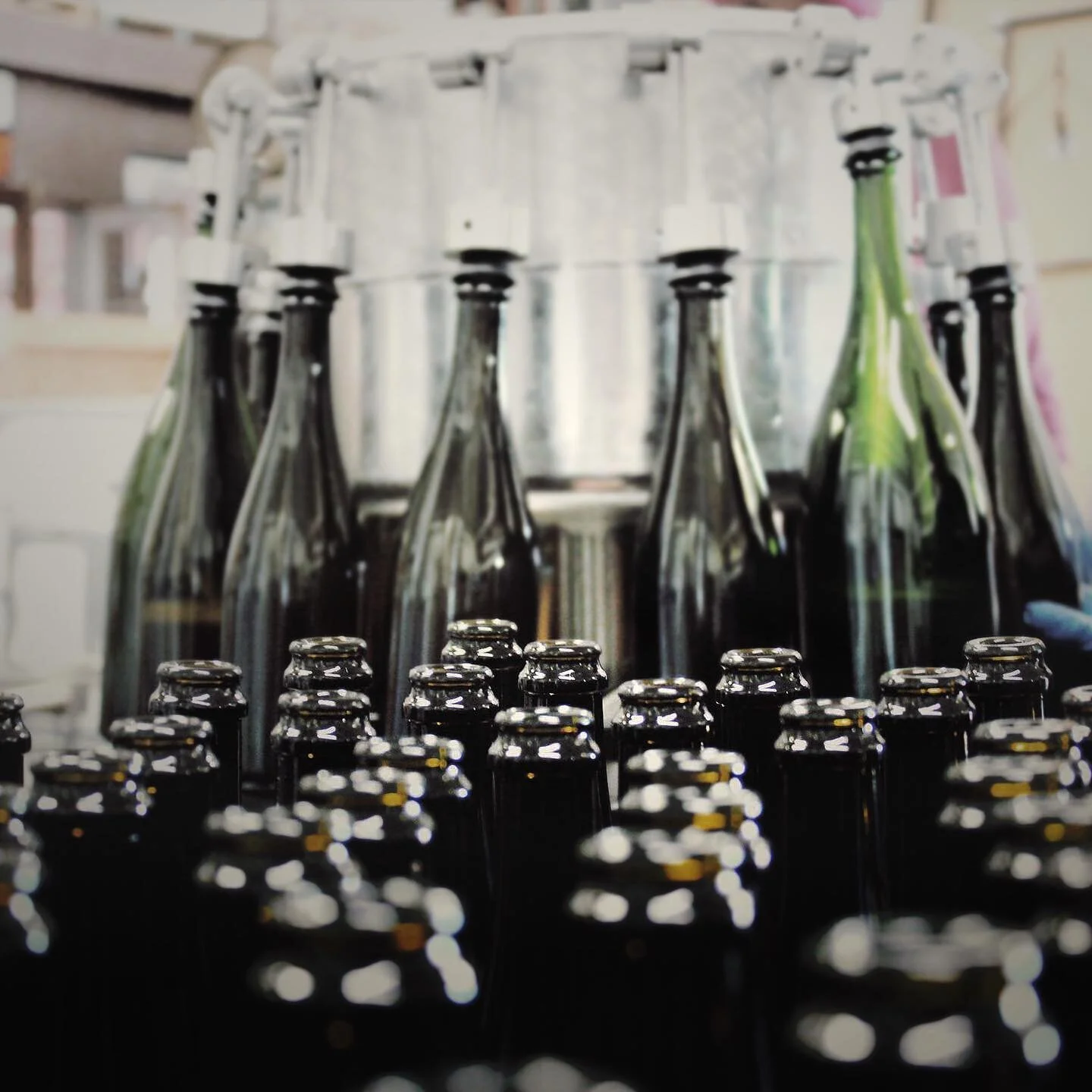 Oregon Wine Hub — Willamette Valley, Oregon