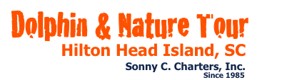 Dolphin and Nature Tours HHI