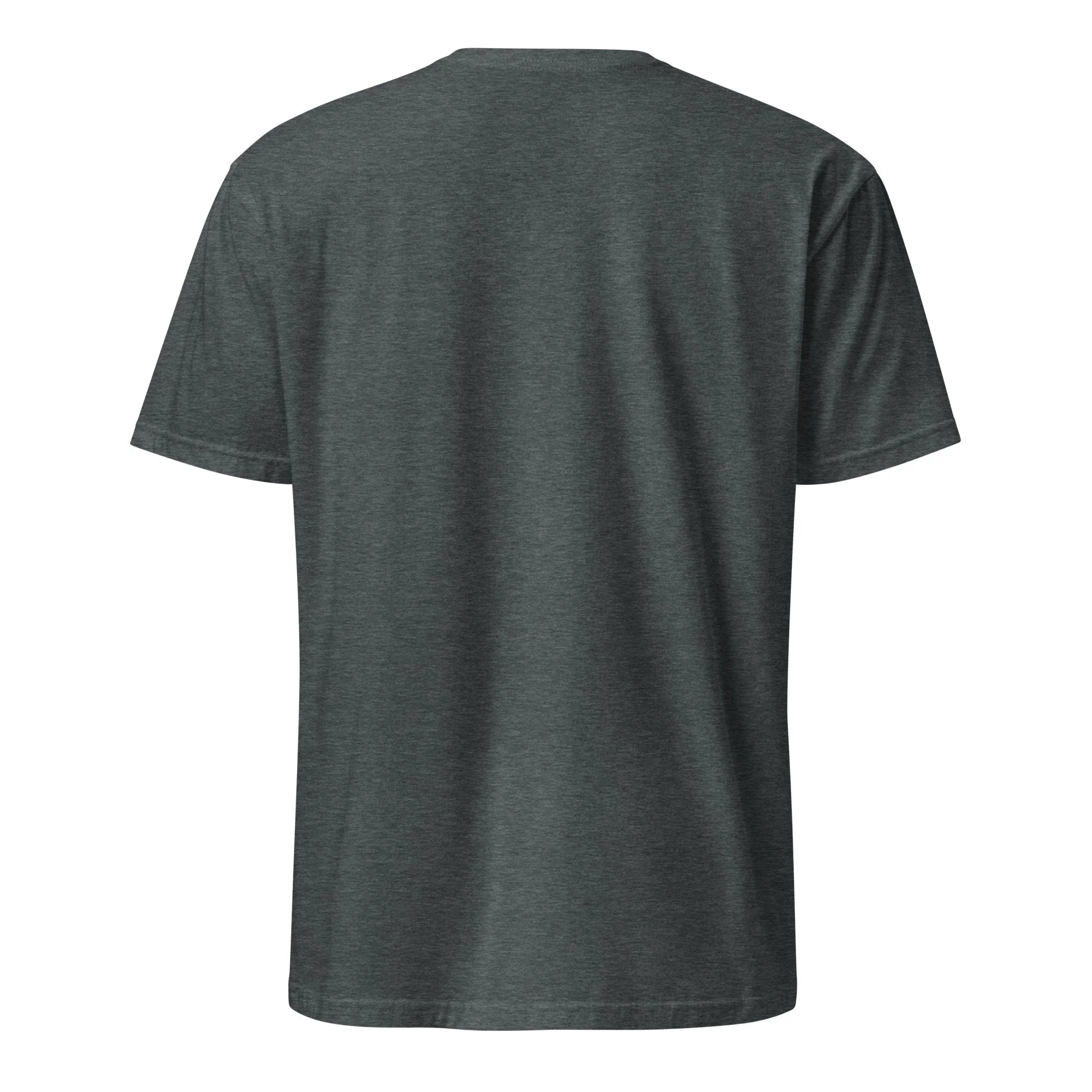 unisex-basic-softstyle-t-shirt-dark-heather-back-6a4d7cf704381.jpg