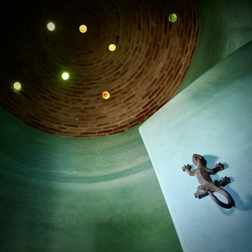 235B9710-BE02-4A79-BB14-4A59B1F37702_1_201_a.jpeg
