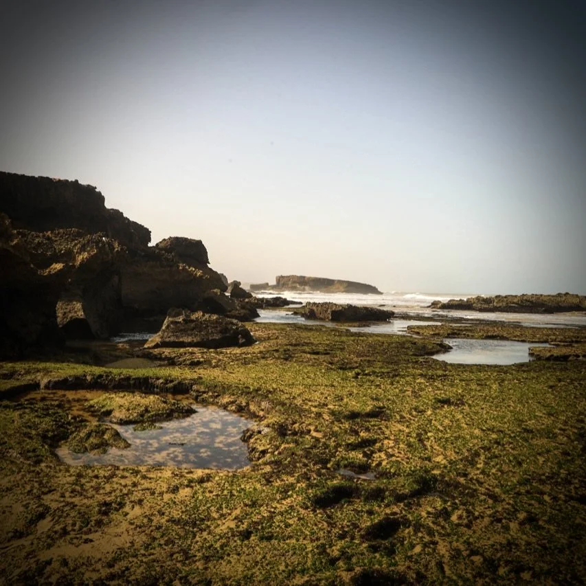4946A558-D9B6-4265-A1ED-154CA6CAF2DE_1_201_a.jpeg