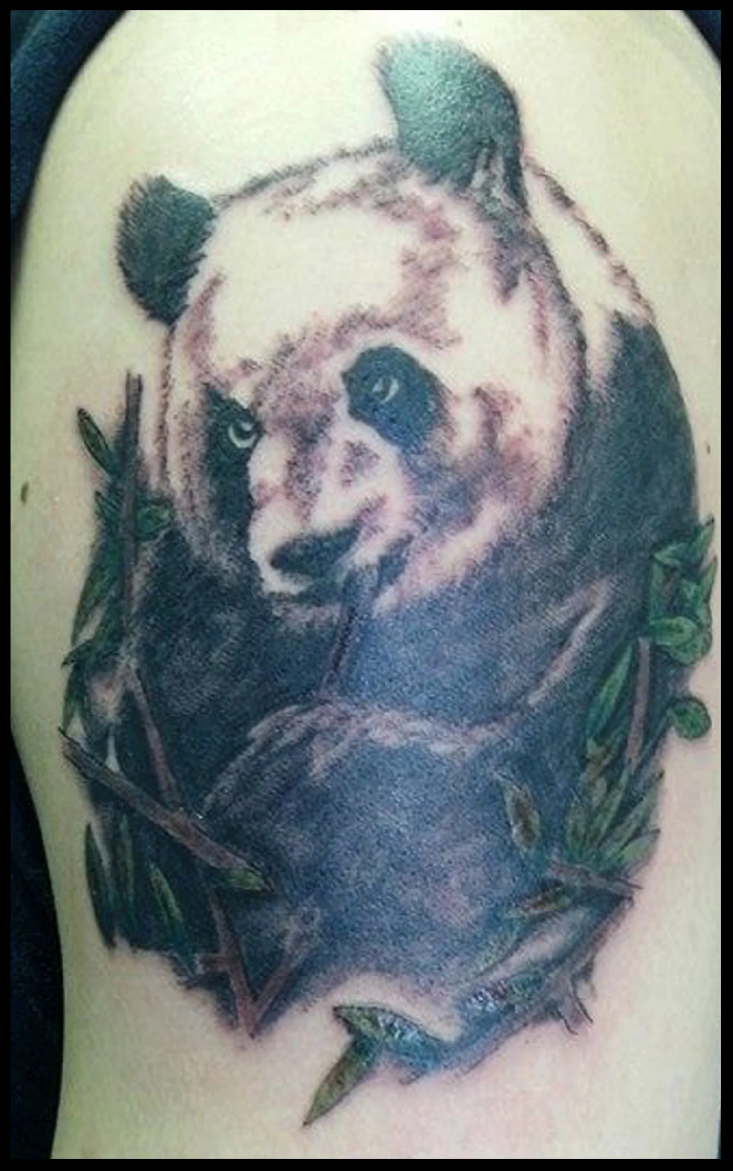 MBHpandatattoo.jpg