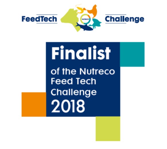 finalists_o6xyg1.jpeg