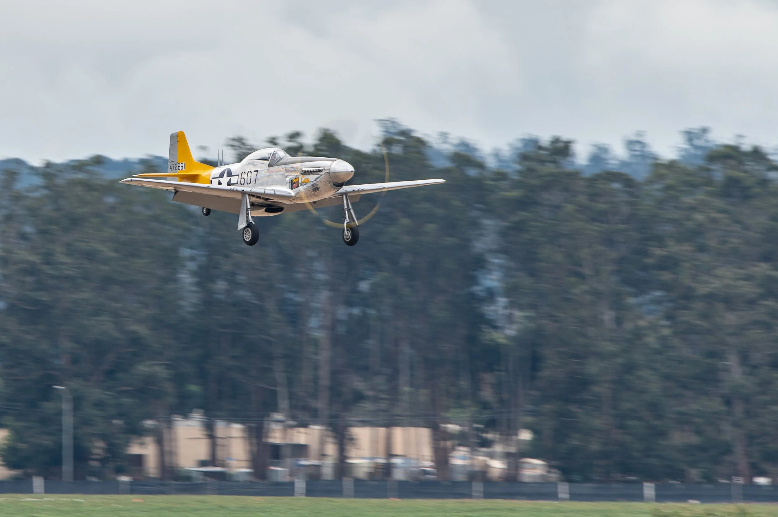 DSC_2116.jpg