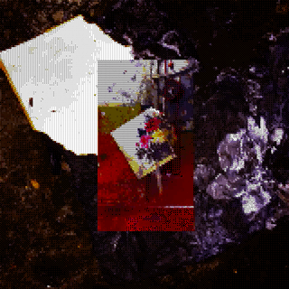 animated 5.GIF