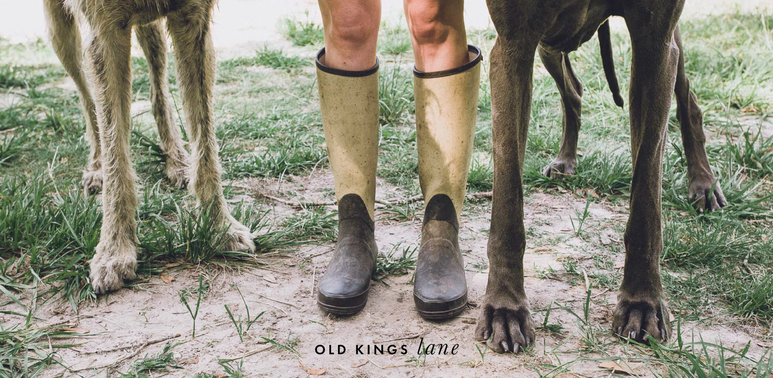 OldKingsLane.png