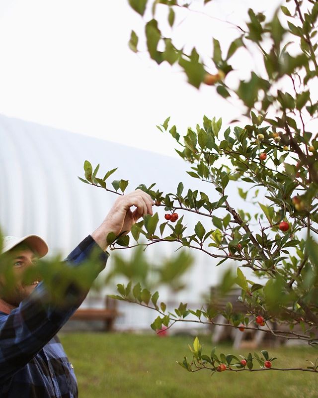 My mayhaw man. He's kept me for five years now. It's hard to see during the everyday, but in pondering this marriage that's only as old as a kindergartner, I'm struck by how much we have achieved together. By how much we've grown and built and learne