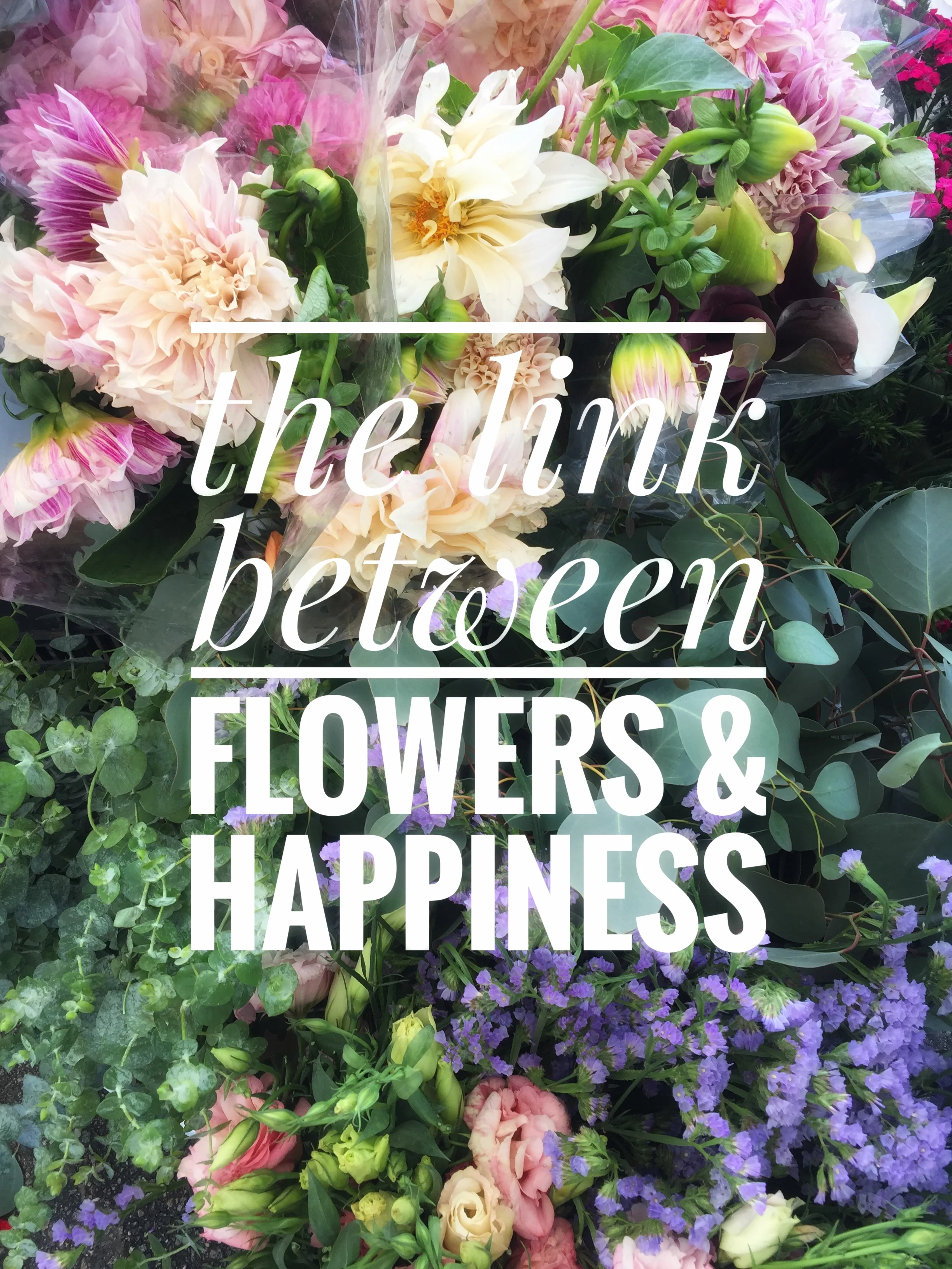 Des Fleurs Pour Moi?