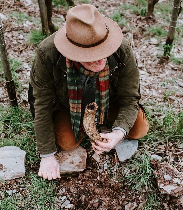 Outtakes on our feature on Rudolf and Rita Trossen, which delves into the philosophy of biodynamics. The Trossens were early adopters of this approach to viticulture and pioneers of natural wine in Germany, so they had plenty to share in recounting t